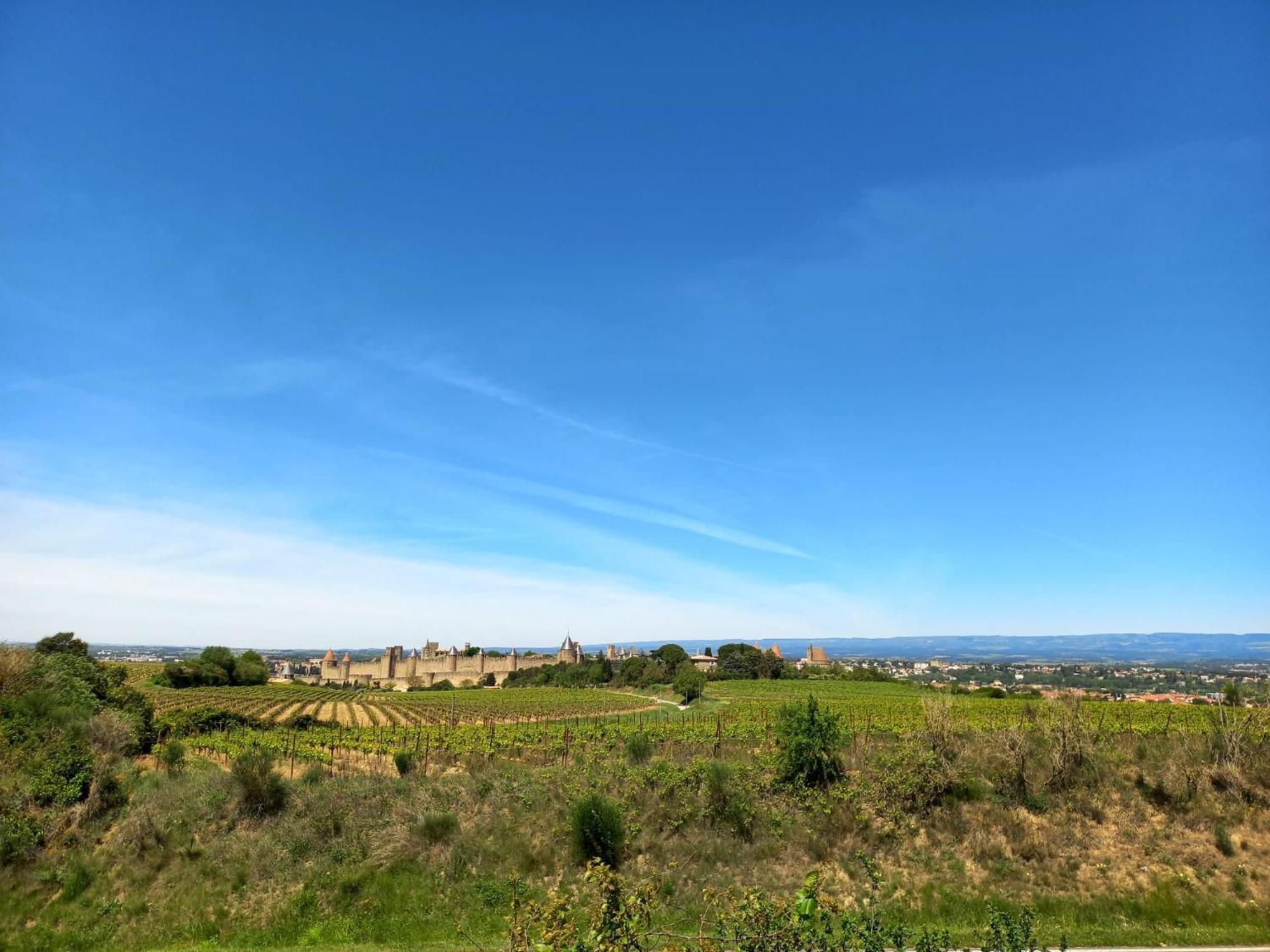 Gite With Private Jacuzzi, Shiatsu & Healthy Food Ladern-sur-Lauquet 외부 사진